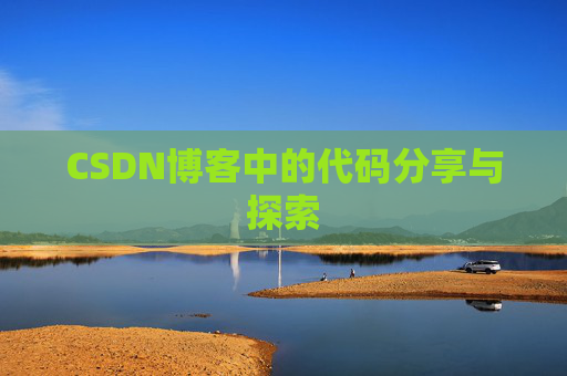 CSDN博客中的代码分享与探索